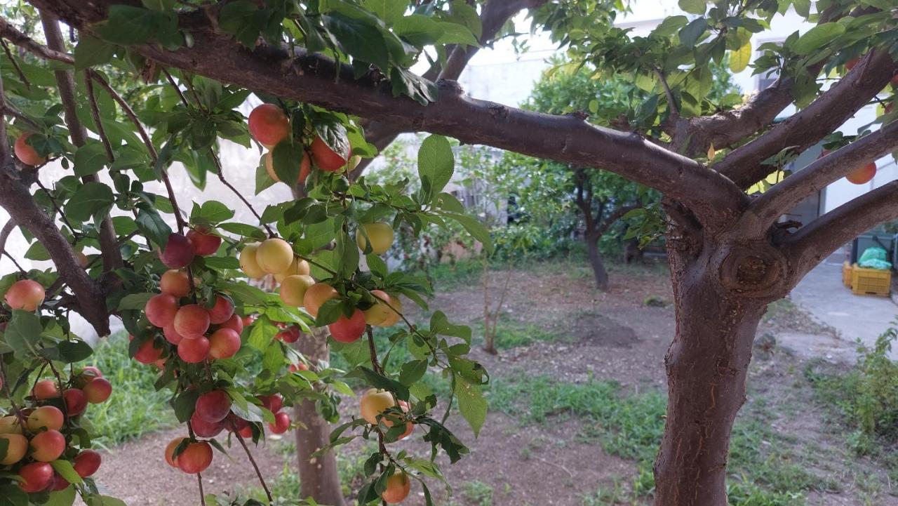 Jonia Appartamento Vacanze Vicino Al Mare Con Giardino Pulsano Eksteriør bilde